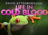 Life in Cold Blood TV Show Air Dates & Track Episodes - Next Episode
