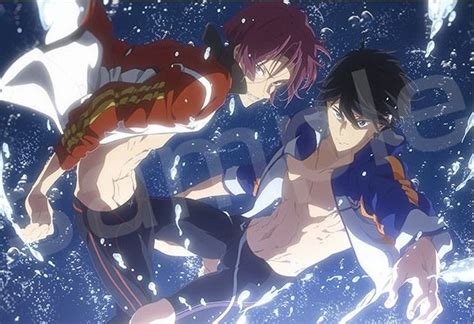 Free Dive To The Future 2019 Free Anime Anime Free Iwatobi