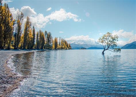 New Zealands South Island Has Seven Must See Destinations