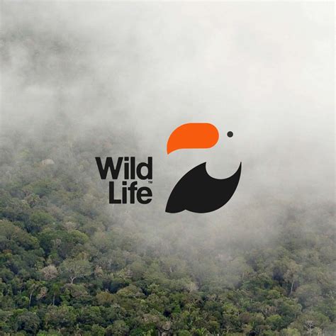 Wildlife Logo Design Domestika