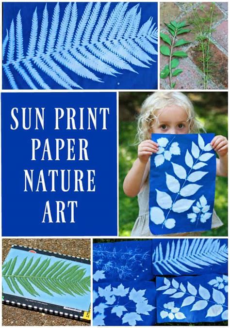 Making Sun Print Nature Art With Kids Run Wild My Child