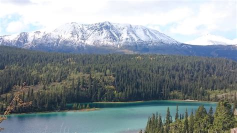 Majestic Landscape With Lake Mountains And Forest In Yukon Territory
