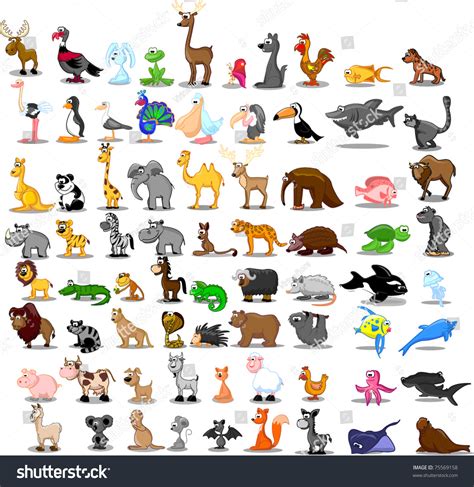 Extra Large Set Animals Including Lion Vetor Stock Livre De Direitos