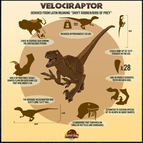 Velociraptor Jurassic Park Series Jurassic Park World Jurrassic Park Names Of Artists