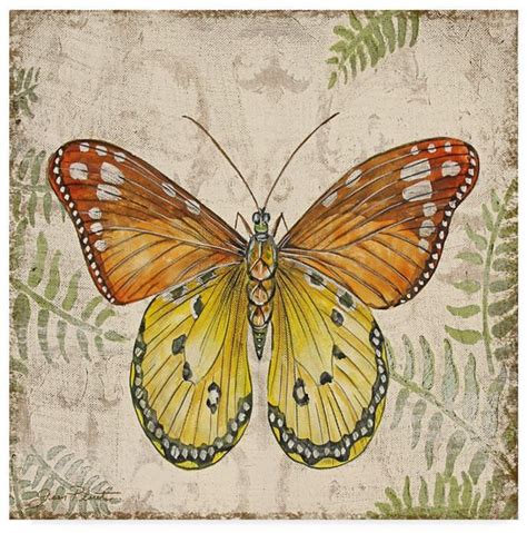 Jean Plout Butterfly Daydreams 3 Canvas Art 35 X 35 3 Canvas Art
