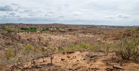 Limpopo Landscape Stock Image Image Of Outdoors Desert 132850891