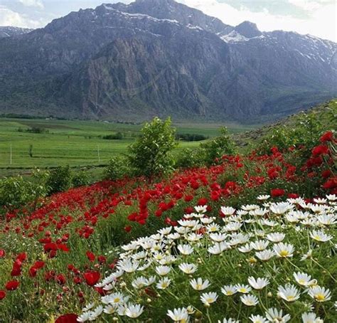 Pin By Zahra Bastani On Nature Of Iran Iran Travel Iran Nature