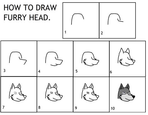 How To Draw Furry Head By Zergrex On Deviantart