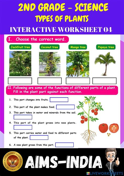 An Interactive Worksheet For The 2nd Grade Science Unit With Pictures