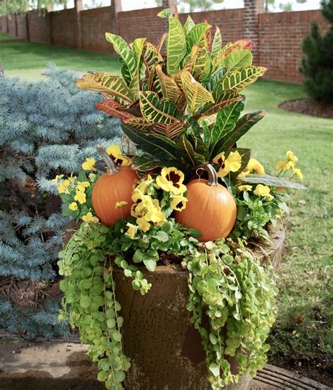 Fall In Love With These Fall Container Gardening Ideas — Reston Farm