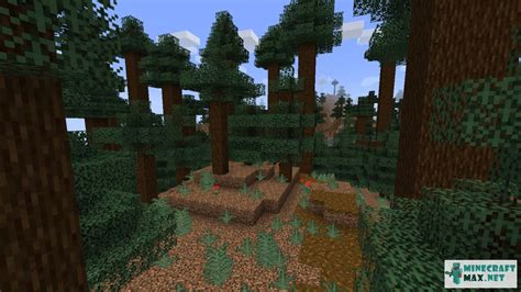 Giant Tree Taiga How To Craft Giant Tree Taiga In Minecraft