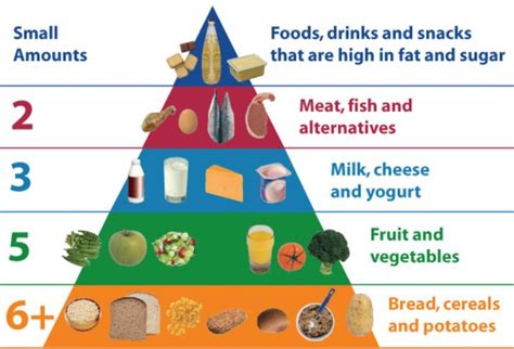 The food pyramid and the eatwell guide. Back to school…Niamh's nutrition tips for school kids ...