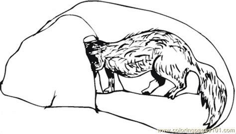 Cave Coloring Pages At Getdrawings Free Download