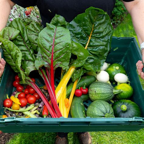 Garden Organic Harvesting And Storage