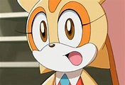 Cream The Rabbit From Sonic X | Sonic the Hedgehog! Amino
