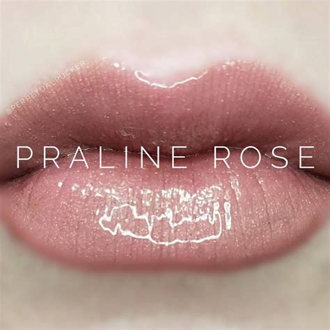 Praline Rose Is A Cool Toned Color With A Matte Finish To Order Email