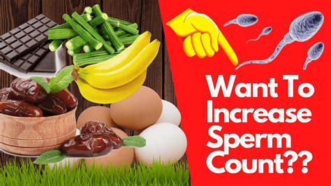 top 5 foods to increase sperm count how to increase sperm count [ 100 naturally ] youtube