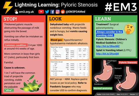 Pyloric Stenosis Overview Lightning Learning Thickened Grepmed