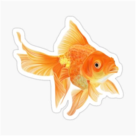 Goldfish Sticker For Sale By Fromashesdesign Redbubble
