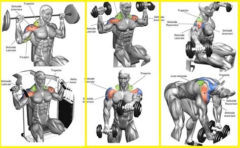 Top 5 Shoulder Exercises For Cannon Ball Delts All