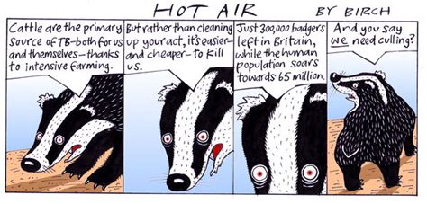 Badger Hot Air The Observer