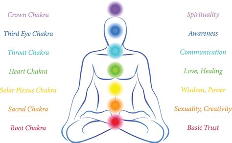 In this article, we'll take a closer look at your main. Crack the belief: HUMAN BEHAVIOR - CHAKRAS