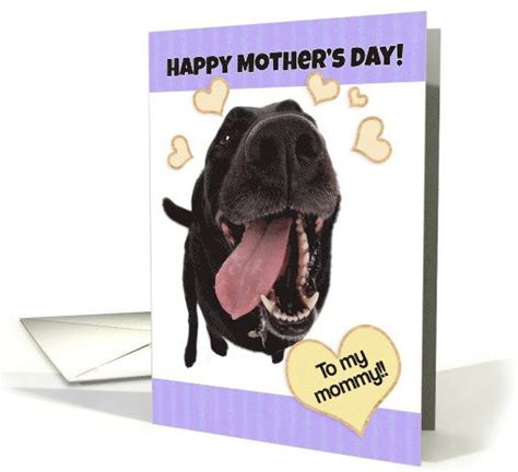 Funny Dog Happy Mothers Day To My Mommy Card Happy Mothers Day