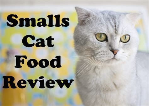 Cat calorie calculator (mobile friendly). Smalls Cat Food Review 2021 | Purchased & Tested - Cat Mania