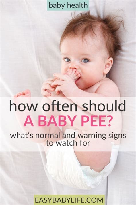 How Often Should A Baby Pee Baby Urine Frequency By Age