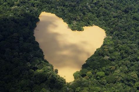 Heart Shaped Lake Amazon River Basin Brazil Chutes Diguazu States