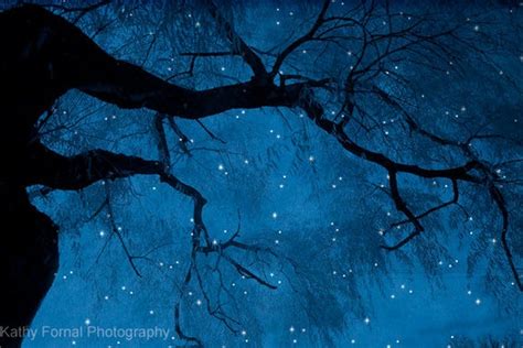 Items Similar To Nature Photography Surreal Starry Dark