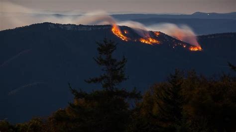 Nearly 200 Acre Fire Near Petersburg 50 Percent Contained