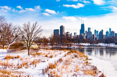 Winter Is The Best Time Of The Year To Prune Your Chicagoland Trees