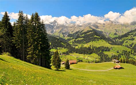 Switzerland Scenery Mountains Grasslands Oberland Fir Nature 412000