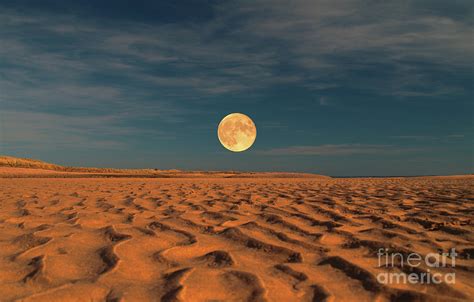 Moon Across The Sands Photograph By Dave Harnetty Fine Art America