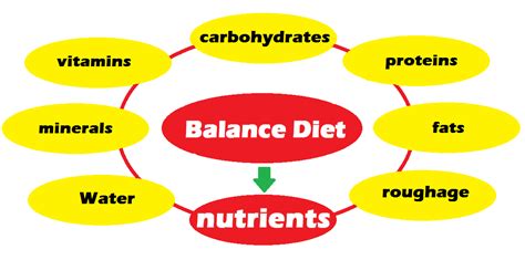 Balance Diet What Is Balance Diet Nutrients And Its Components