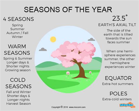 4 Seasons Of The Year Ographic For Kids Mocomi