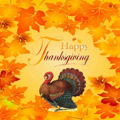 10 Top Happy Thanksgiving Turkey Wallpaper Full Hd 1920×1080 For Pc