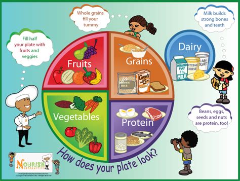 The australian food and nutrition monitoring unit comprises a consortium from the university of. Download: My Plate - Five Food Groups Poster | Food groups ...