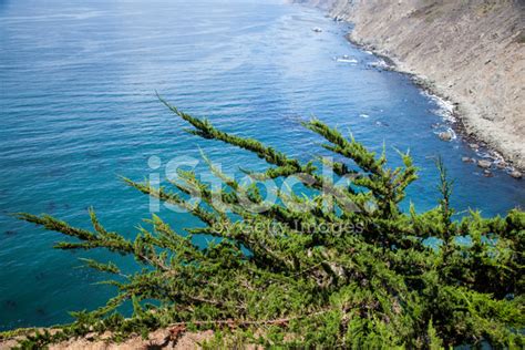 Cliff Overlooking Big Sur California Stock Photo Royalty Free