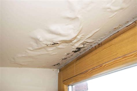 The discoloration usually looks a little darker than the paint and presents itself during the beginning of the ceiling is the most difficult area to repair because of the installation of plaster or drywall. Water Damage Ceilings (What to Do and Who to Call) in 2020