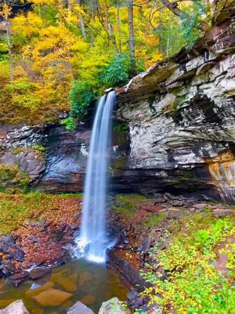 6 Of The Best Places To View Fall Foliage In West Virginia Wowk 13 News