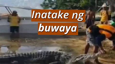 Ub Mangingisda Patay Sa Pag Atake Ng Buwaya Sa Balabac Palawan Youtube