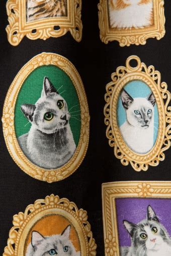 60 Kitty Portraits Dress Black And Gold