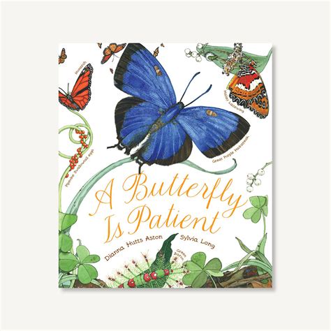 A Butterfly Is Patient Chronicle Books