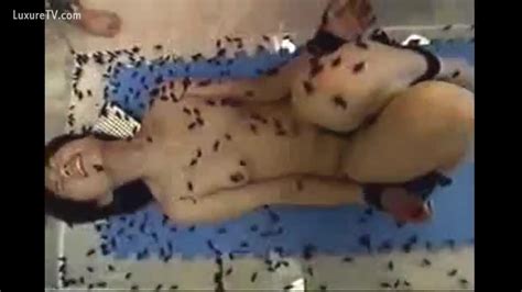 Cockroaches Getting Into The Holes Of Asian Dirty Slut