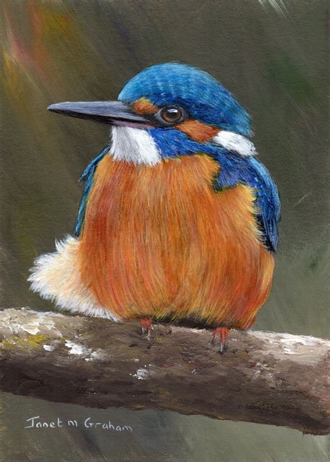 Original Bird Painting Art Kingfisher Sfa Wildlife 5 X 7