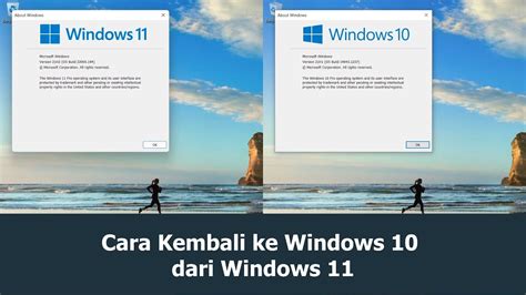 Cara Kembali Ke Windows 10 Dari Windows 11 Youtube