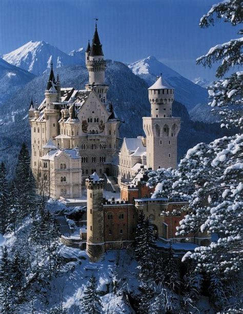 A Cup Of Sparkle A Fairy Tale Castle Neuschwanstein