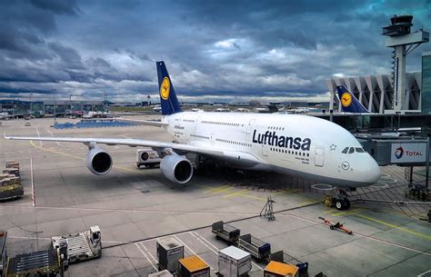 Find out before departure about checking in baggage at german airports for your lufthansa, partner or star alliance flight. Lufthansa check in online: quando e come farlo | No ...